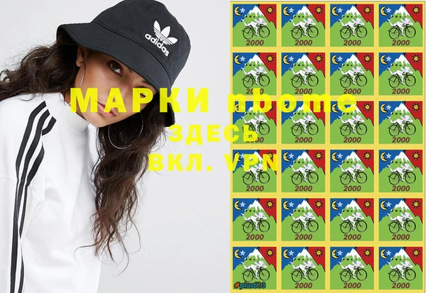 шишки Козельск