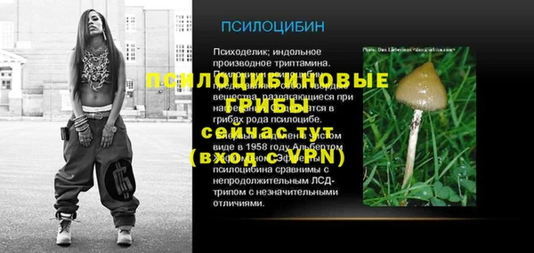 шишки Козельск