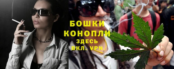 трава Кодинск