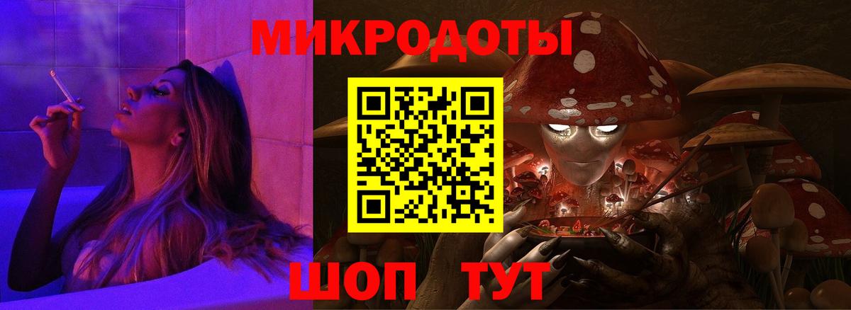 Псилоцибиновые грибы Psilocybe Минусинск