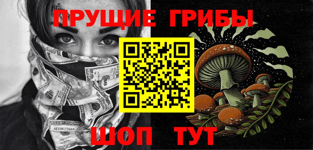 Псилоцибиновые грибы Psilocybe  Вход с VPN  Минусинск  Псилоцибиновые грибы MAGIC MUSHROOMS 